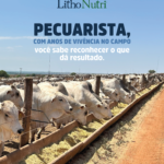 2 9 - Agencia de agromarketing - marketing para o agronegocio