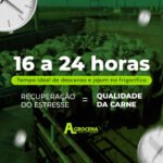 2 Tempo ideal de descanso - Agencia de agromarketing - marketing para o agronegocio