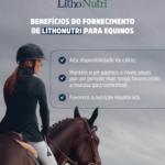 4 4 - Agencia de agromarketing - marketing para o agronegocio