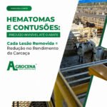 4 Hematomas e contusoes - Agencia de agromarketing - marketing para o agronegocio