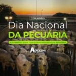 Hoje celebramos o Dia Nacional da Pecuaria uma atividade que move o Brasil e alimenta o mundo - Agencia de agromarketing - marketing para o agronegocio